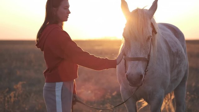 Girl gently strokes the calm horse in the face, the sun beats into camera