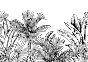 Fototapeten Tropical card with palm trees and banana leaves. Black and white. Hand drawn vector illustration. © JeannaDraw