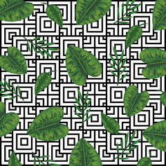 geometric square lines and tropical background