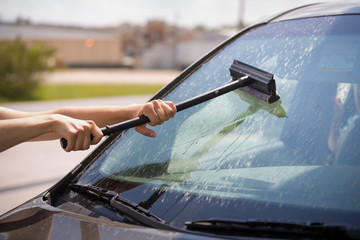 Hands of the girl wash the windshield of the car with a special brush from dried flying insects....