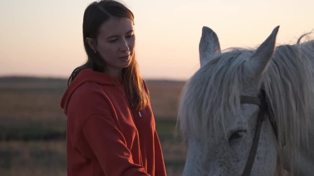 Girl gently strokes the calm horse in the face, the sun beats into camera