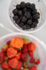 Top view on buckets with freshly picked berries. Blackberry in focus. In the second bucket, strawberries are out of focus. Garden concept