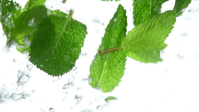 Close up fresh green mint leaves floating in water