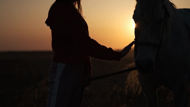 The girl and the white horse are standing at sunset in the endless field