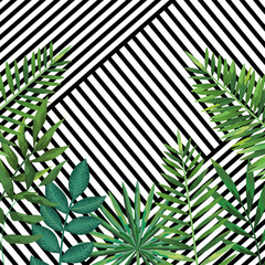 geometric lines texture decoration and tropical background
