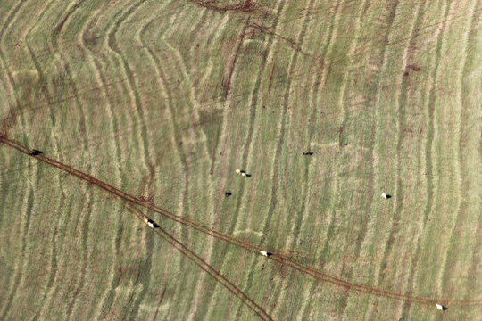aerial photography of hte field