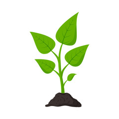 Gardening. Planting. Seedling in ground. Plant icon isolated on white background. Vector illustration