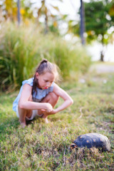 Little girl and tortoises