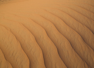 UAE. Desert  background close up