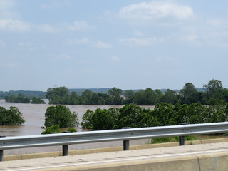 Fototapeta na wymiar Trees standing in flood waters along a river