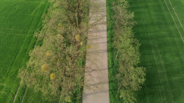 BY drone a narrow asphalt road in the countryside