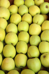  Pile of green apples. Many perfect green apples for food textures