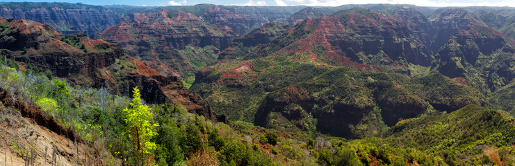 Fototapeta na wymiar View over the Waimea Canyon on Kauai, Hawaii, USA.