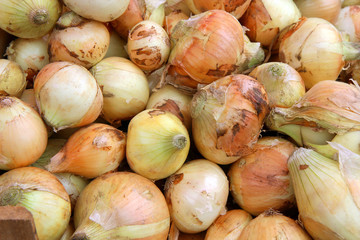 Fresh onions at the market
