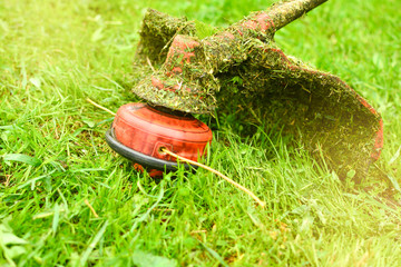 Trimmer close up mow the grass with a lawnmower. Gardening with a brush cutter Close-up. Lawn care...