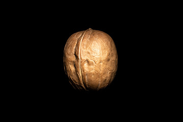 Obraz premium One walnut on dark background