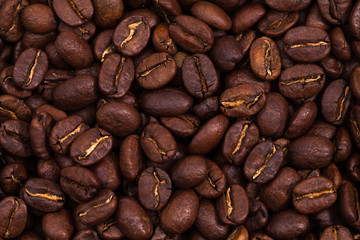  Background of Roasted coffee beans