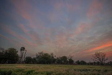 sunset over a field