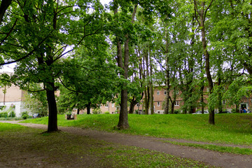 Fototapeta na wymiar small park on the outskirts of the city with old trees