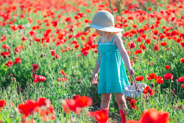 little girl with basket in flower field