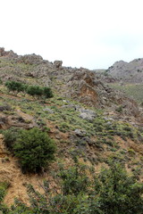 Fototapeta na wymiar Kreta, Kavousi, Wanderung