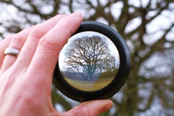 lens in handrevealing or inverting landscape behind