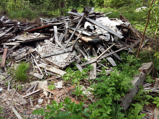 Dump of old boards in the forest area.