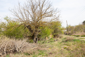 Deserted village in Bulgaria, Europe