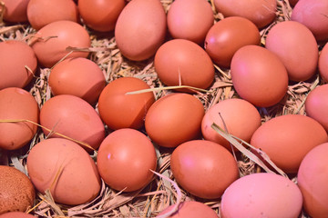 Fresh chicken eggs on the market, ready to be processed and cooked.