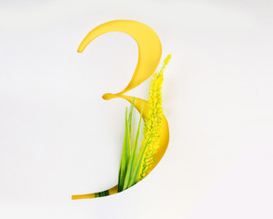 Letter 3 numbers with paper craft yellow flower. ABC concept type as logo on white background.
