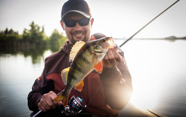 Happy angler with perch fishing trophy.	
