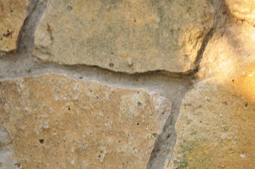 background reflex