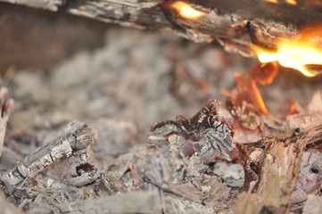 fire flame ash coal smoke