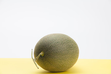 Fresh Melon on the yellow background 