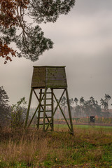 Cold autumn forest and shooting tower, Poland