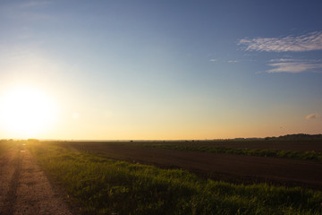 Naklejka na ściany i meble landscape of beautiful field during sunset