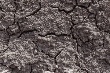 Dry cracked ground.
