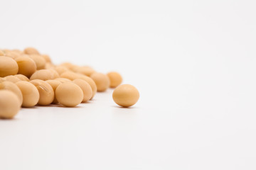 Yellow soy bean pattern group