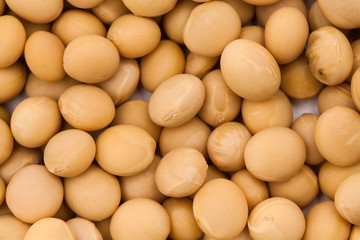 Yellow soy bean pattern group