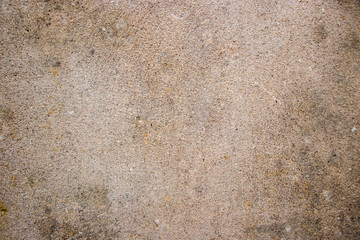 dirty concrete wall texture shot