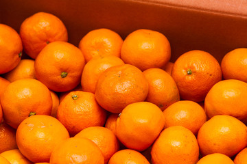 Close orange group Mandarin tangerine