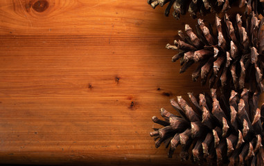 Pine cone Backgound theme