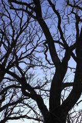 Photos of nature taken across the United States