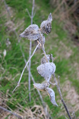 Photos of nature taken across the United States