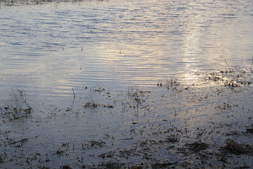 Outdoor pictures taken all around the United States