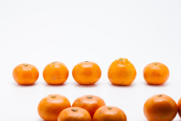  Row of Orange mandarin or tangerine fruit isolated on white background