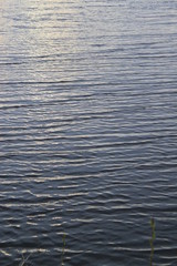 Outdoor pictures taken all around the United States