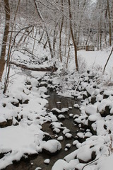 Outdoor pictures taken all around the United States