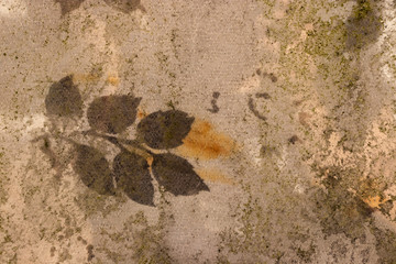 dirty fabric flower silhoutte texture