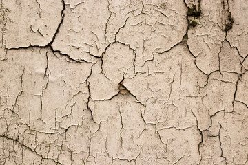 grunge wall cracked texture shot